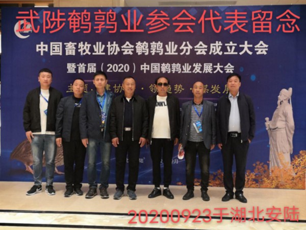 這一年，謝謝自己155